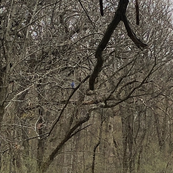 Meet your Posher, Ryan - Picture 1 of 1